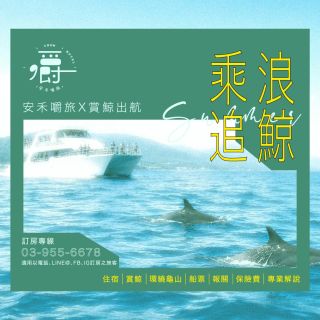 【乘浪追鯨】搭上賞鯨船，航向大海！
