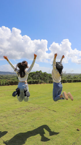 南喃夕語。朝日